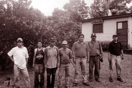 �Z���E���X�E���i�X�A�R�[�q�[�̉ԁB